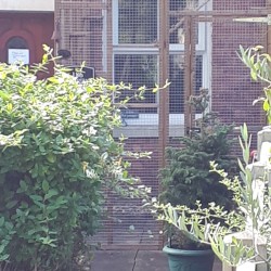 Paws Cabin Catio 6ft x 8ft x 8ft Tall π§βοΈπΎπΏ  Paws Cabin Catio 6ft x 8ft x 8ft Tall π§βοΈπΎπΏ